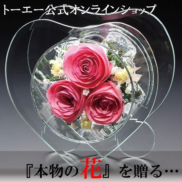 売れ筋 母の日の贈り物やプレゼント２０２１ トーエー公式ネットショップ ピュアフラワー ハート型 ピンクカラー 花ギフト P 9l P Seal限定商品 Atempletonphoto Com