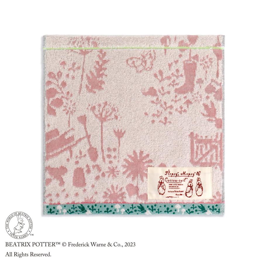 ピーターラビット（PETER RABBIT） タオル 名入れ 刺繍 PETER RABBIT