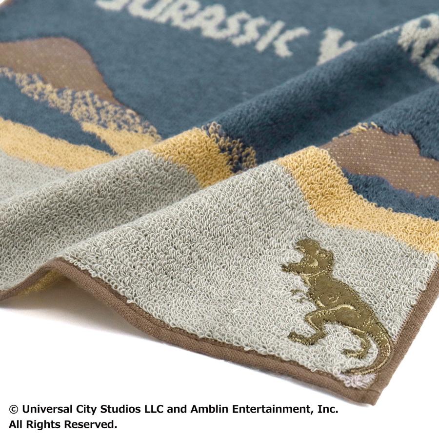 タオルハンカチ タオル 名入れ 刺繍 JURASSIC WORLD アース ギフト