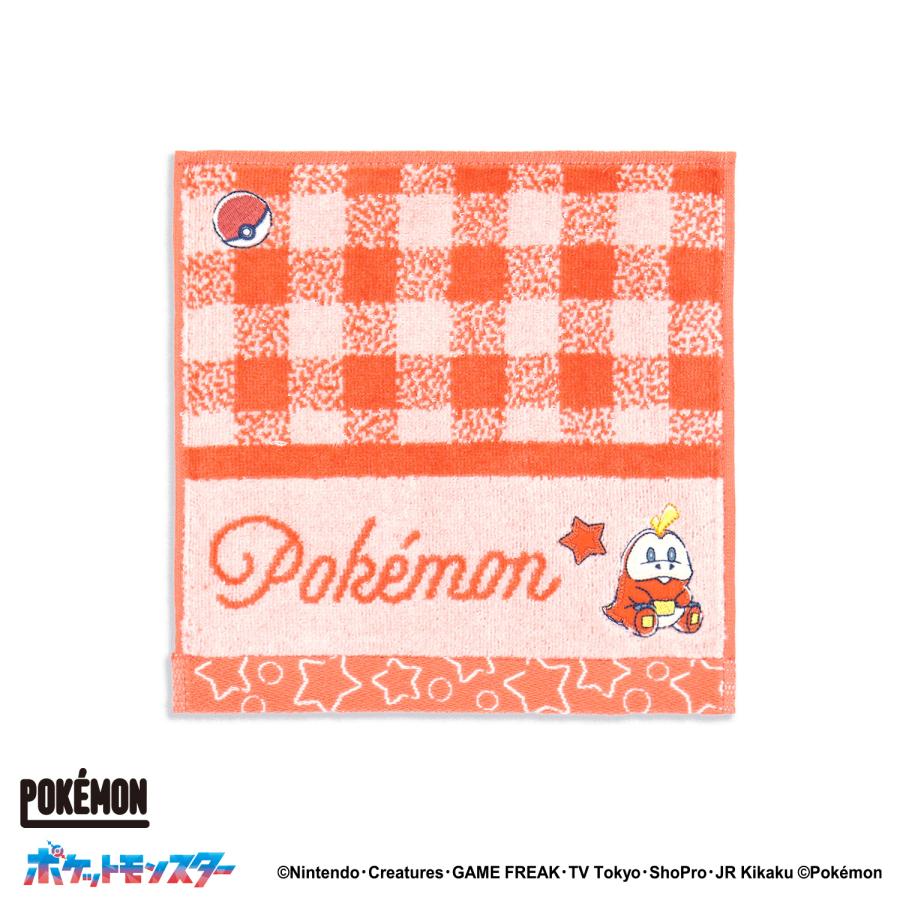 ポケモン タオルハンカチ スターチェック 名入れ 刺繍 プチギフト
