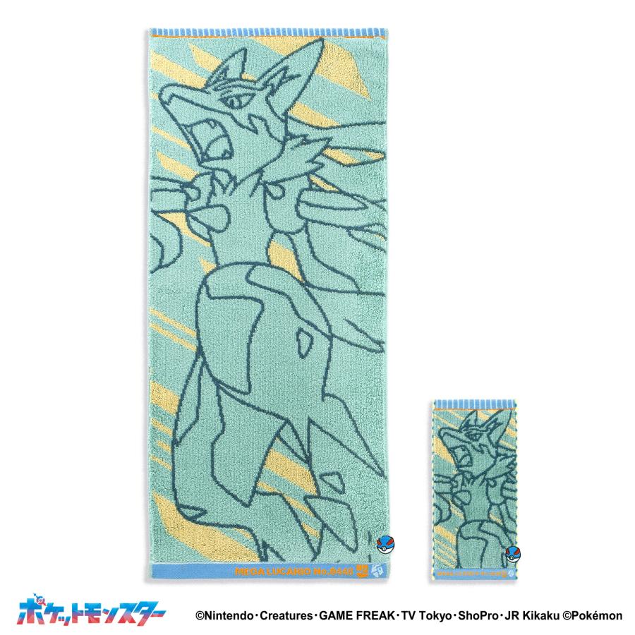 タオル美術館 タオル 名入れ 刺繍 ポケットモンスター ナンバリング