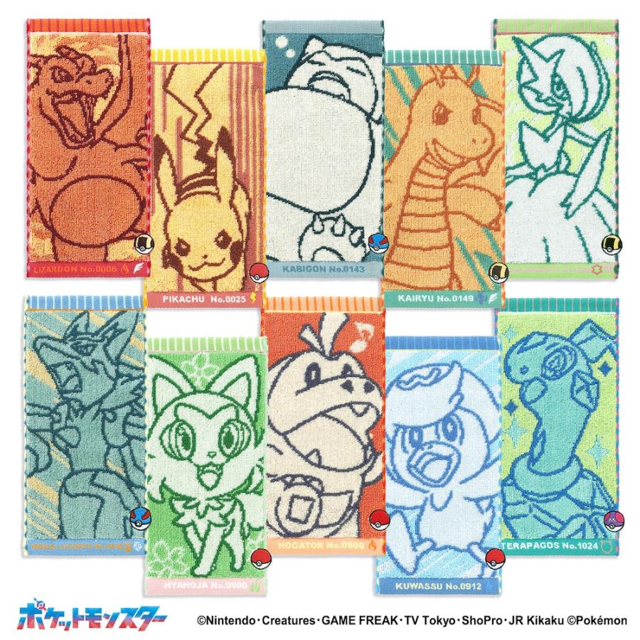 タオル美術館 ポケモン タオルハンカチ ハーフ ナンバリング ペア