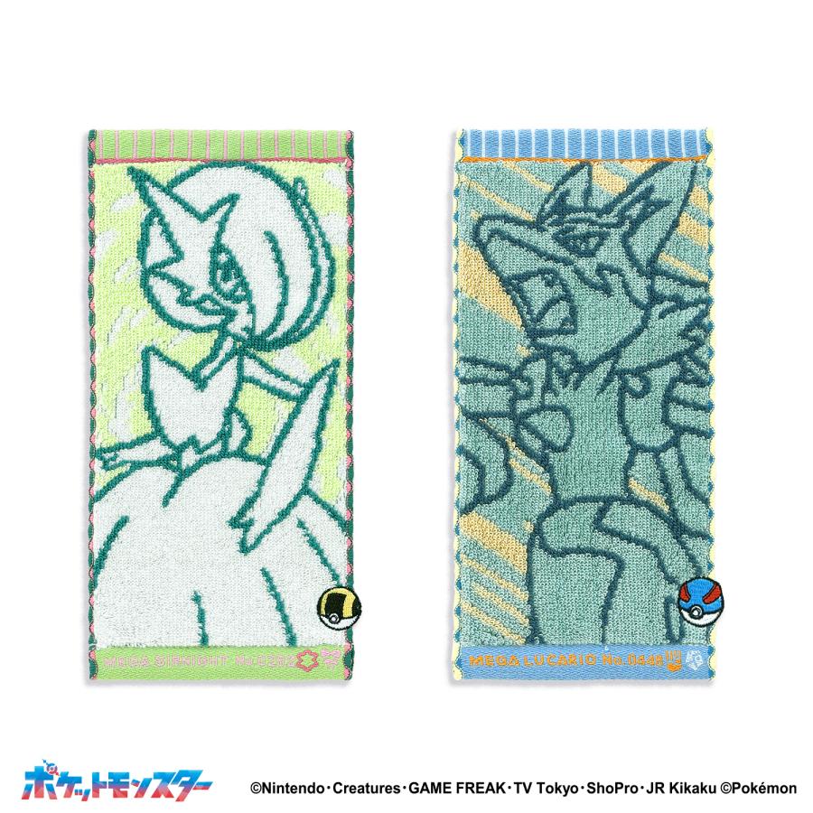 ポケットモンスター ナンバリング ペア (メガサーナイト&メガルカリオ