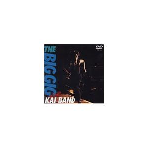 甲斐バンド THE BIG GIG＜期間限定盤＞ DVD | 