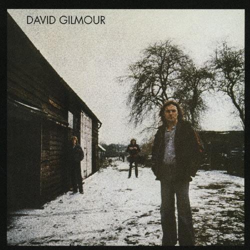 David Gilmour デヴィッド・ギルモア CD | 