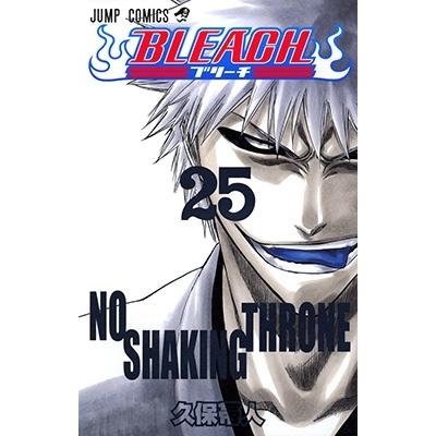 久保帯人 BLEACH -ブリーチ- 25 COMIC | 