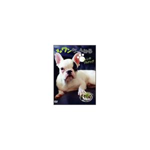 ワンちゃんねる フレンチブルドッグ DVD | 