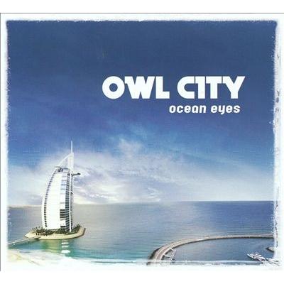 Owl City Ocean Eyes LP | 