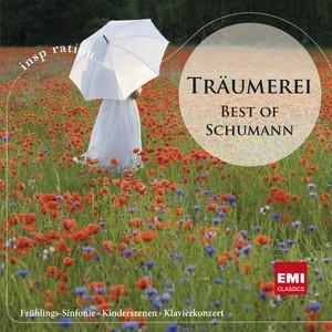 Various Artists Traumerei - Best of Schumann CD | 