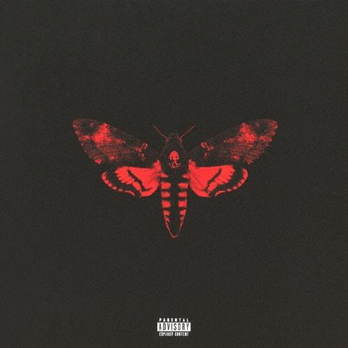 Lil Wayne アイ・アム・ノット・ア・ヒューマン・ビーイングII CD | 