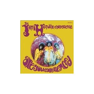 The Jimi Hendrix Experience Are You Experienced? LP | 