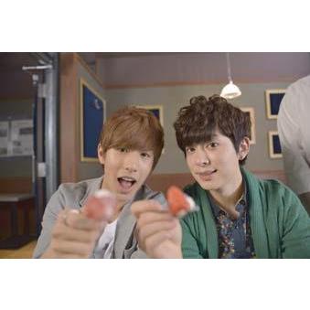 BOYFRIEND BOYFRIEND DATE BOOK デートしようよ! ［BOOK+DVD］ Book |  | 06