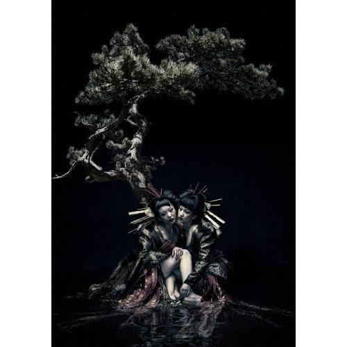 the GazettE the GazettE LIVE TOUR 12-13 【DIVISION】 FINAL MELT LIVE AT 03.10 SAITAMA SUPER ARENA＜通常版＞ DVD | 
