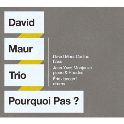 David Maur Trio プルクワ・パ? CD | 