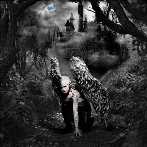 DAMIJAW THIS IS MY WING CD | 