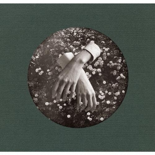 Aspidistrafly A LITTLE FABLE CD | 