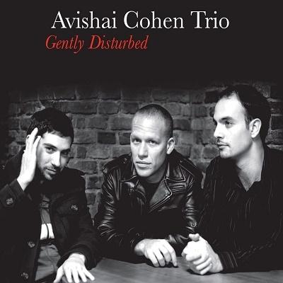 Avishai Cohen Trio Gently Disturbed LP | 