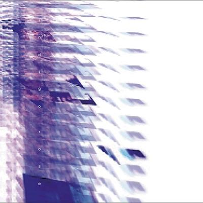 AOKI takamasa indigo rose (スペシャル・プライス盤) CD | 