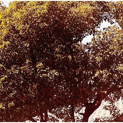 笹倉慎介 TIME STREAM season2 CD | 