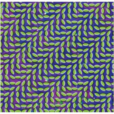 Animal Collective Merriweather Post Pavilion  LP