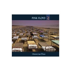 Pink Floyd A Momentary Lapse Of Reason CD | 