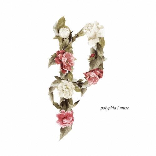 洋楽 polyphia cd Polyphia muse CD : タワーレコード Yahoo!店 - 通販 - Yahoo!ショッピング