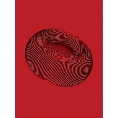 syrup16g 再発患者 ［3Blu-ray Disc+フォトブック］ Blu-ray Disc | 