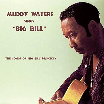 Muddy Waters Sings Big Bill Broonzy CD | 