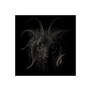 青木裕 (J-Pop) Lost in Forest CD | 