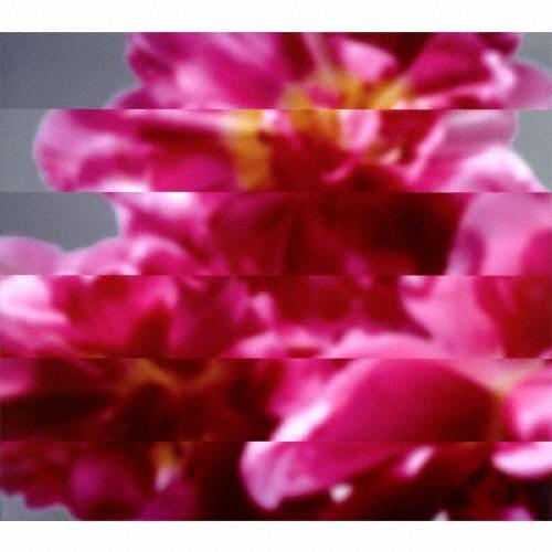 Mondo Grosso 何度でも新しく生まれる CD | 