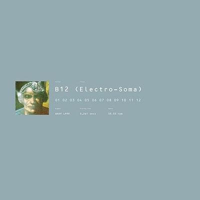 B12 Electro-Soma LP | 