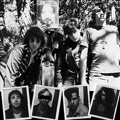 Dwarves Lick It: The Psychedelic Years 1983-1986＜限定盤＞ LP | 