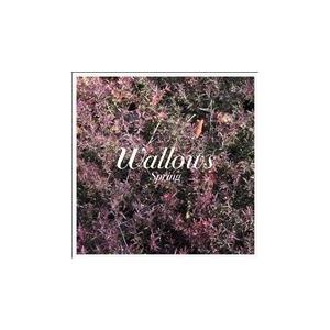 Wallows Spring (Colored Vinyl) LP | 