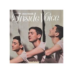 Joey Dosik Inside Voice LP | 