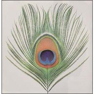 XTC Apple Venus Vol.1 LP : タワーレコード Yahoo!店 - 通販 - Yahoo