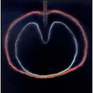 XTC Wasp Star (Apple Venus Vol.2) LP | 