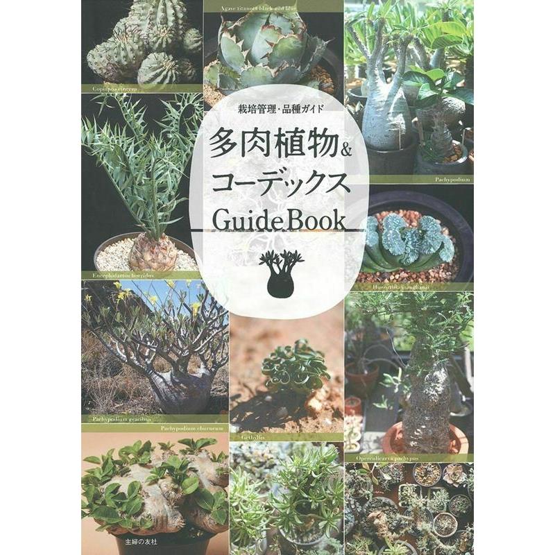 主婦の友社 多肉植物&コーデックスGuideBook 栽培管理・品種ガイド Book | 