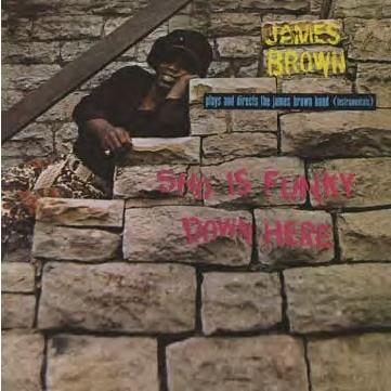 The James Brown Band Sho Is Funky Down Here CD | 