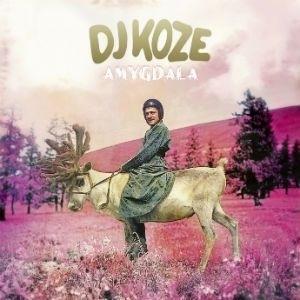 DJ Koze Amygdala LP | 
