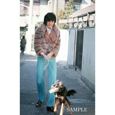 西城秀樹 HIDEKI FOREVER blue (ヒデキ フォーエバー ブルー) ［BOOK+