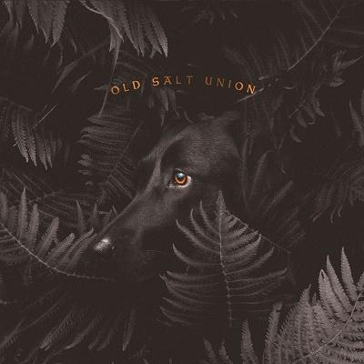 Old Salt Union Where The Dogs Don't Bite CD | 