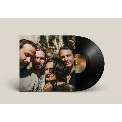Big Thief Two Hands LP | 