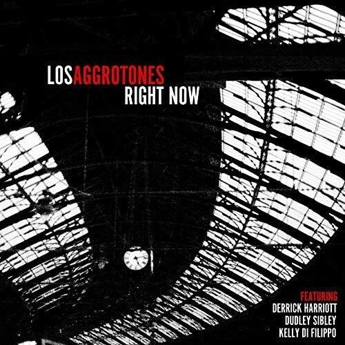 Los Aggrotones Right Now LP | 
