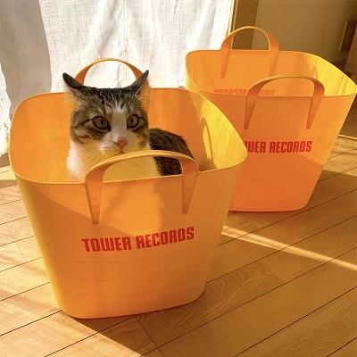 stacksto × TOWER RECORDS baquet Accessories |  | 02