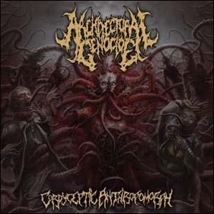 Architectural Genocide Cordyceptic Anthropomorph CD | 