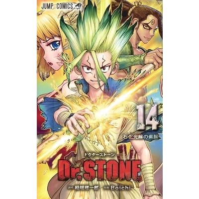Boichi Dr.STONE 14 COMIC | 