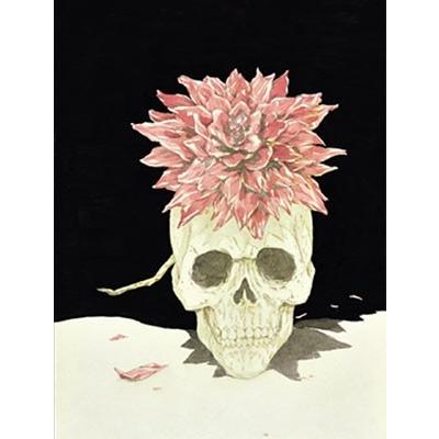 RUDE GALLERY MAGAZINE-RUDE GALLERY 20th anniversary BOOK- Book |  | 05