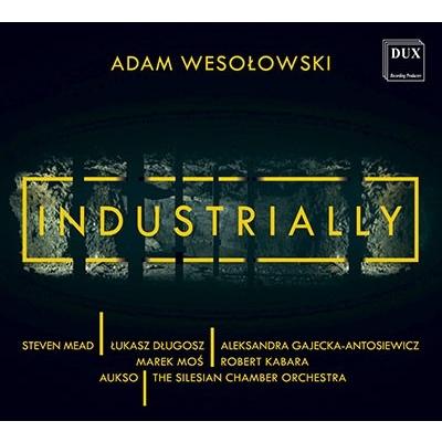 スティーヴン・ミード ヴェソウォフスキ: インダストゥリーアリィ〜協奏曲集 CD | 