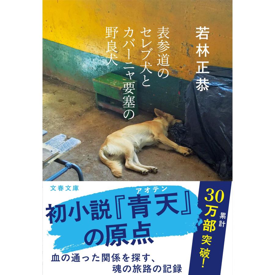 若林正恭 表参道のセレブ犬とカバーニャ要塞の野良犬 Book | 