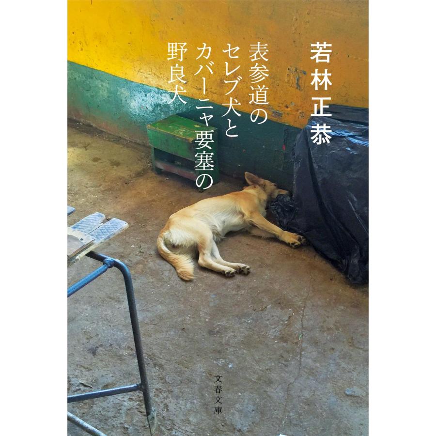 若林正恭 表参道のセレブ犬とカバーニャ要塞の野良犬 Book |  | 01